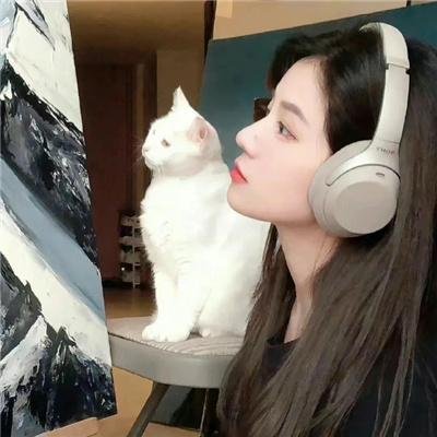 阿福寻宝记